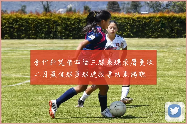 舍什科凭借四场三球表现荣膺曼联二月最佳球员球迷投票结果揭晓